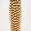 Blonde Maleisische krullend haarbundels 8-28 inch Remy Hair Weven 100G 1PCS HUIST HAAR BUNDLES Deals kunnen 3/4 kopen