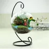 Ventes chaudes en gros boule ronde avec un trou plante hydroponique fleur suspendus Vase en verre conteneur maison ornement vase jardinières Pots jardin