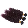 Fasci di tessuto per capelli umani Ombre rosso vino brasiliano Onda profonda 3 pezzi Radice scura # 1B / 99J Estensioni dei capelli umani di Remy vergini bordeaux