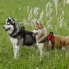 K9 arnês para cães sem puxão arnês para cães de controle rápido colete refletivo de náilon para cães pequenos médios grandes grandes treinamento de caminhada ao ar livre