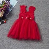 New Baby Girls Party Lace Tulle Flower Gown Fancy Damigella d'onore Dress Sundress Girls Dress Little Girl Princess Tutu Gown