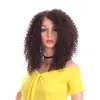 14 дюймов странные кудрявые афро парики кружева передний парик боковой части натуральный омбре синтетические волосы для африканских женщин