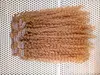 Braziliaanse clip in Hair Extensions Human Virgin Remy lichtbruine kinky Curly 27# 120G Eén set