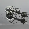 BIG Solar Ant Popular Kids Toys Magic Solar Powered Ant Insect Play & Learn Educational Solar Novelty Toys for Children with OPP bag