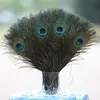 olhos naturais de penas de pavão