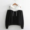 منتجات Sweatshirt 8 Dropshiped ، لا يشتري الأفراد ، وشراء لن يرسل!