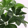 9 cabeças artificiais schafflera octophylla folhas interior bonsai árvore em vaso árvore planta árvore jardim casa sorte verde plantas