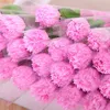 Artificial Carnations Soap Flower Simulation Flowers Home Decor Wedding Christmas Birthday Mothers Day Valentines Gift