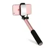 Perche Pal Rod Pau de Self Palo Selfie Stick för Android iPhone Samsung Universal med spegelknapp Mobile Monopod Selfipalka