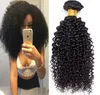 Schleifen brasilianisches Haar Kinky Curly Hair Bündel mit Spitzenverschluss 100% menschliches Haar Schuss ohne Tangleshedding! Fabrikrabattpromotionen Pri