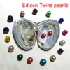 edison pearl.