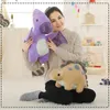 30 cm colorati peluche di peluche di dinosauri imbottiti cartone animato morbido animale da cartone animato kawaii giocattolo carino bambini039s regalo brinquedos la1096273285