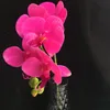 진짜 접촉 소형 난초 꽃 PU Cymbidium 5 머리 자홍색 색깔 난초 꽃 70cm / 27.56 인치 Wedding Centerpieces 장식적인 꽃