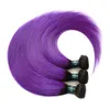 Dark Root Purple Straight Human Peruviaanse Virgin Hair Extension Silk Rechte Paars Haarverlenging 3 Stks Paars Ombre Haar Weeft Hoge Qualit