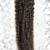 Extensions de cheveux humains crépus bouclés Micro boucle anneau Extensions de cheveux 100g 1 g/s 100s Remy Micro perle Extensions de cheveux brun le plus foncé