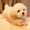 Sevimli yumuşak hayvan maltese köpek peluş oyuncak mini doldurulmuş yalancı hayvanlar evcil köpekler bebek bebek hediye araba dekorasyonu 35x12x14cm dy501387557432