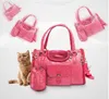 2017 Pet Cat Small Dog Travel Luxury Pu Leather Carrier Bag Outdoor Foldble Portable Dog Chihuahua med tygväska med Purse181T