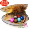 Dames DIY-sieraden 6-7 mm verven 28 kleuren natuurlijke zoetwater gekweekte parel liefde parel kralen Japan Akoya shell oesters