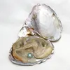 Akoya Oyster Perle 6-7mm runde Perle in Austern Akoya Austernschale mit kolloulem Perlen Schmuck durch Vakuumverpackung 16 Stcs Los