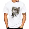 Toptan-TeeHeart 3D Sevimli Kedi T-Shirt Kadınlar Yaz Tops Tees Baskı Hayvan T Gömlek Erkekler O-Boyun Kısa Kollu Moda Tişörtleri Artı Boyutu