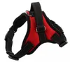 Valphund Bröstkrage Nylon Robust hund Harness Rivet Dekorativa husdjur Leases For Dogs Supplies Tillbehör Många färger3832199