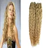 Micro Loop Ring Länkar Remy Kinky Curly 100% Real Human Hair Extensions 200g Micro Ring Hair Extensions 200s Micro Bead Extension