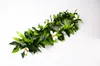 60/70 cm [2 stóp] Dichroic Liść Wreńki z Jasmine Flowers 12pcs/Lot Hawaii Style wieniec kwiatowy do dekoracji ślubnej