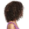 Afro Kinky Curto Curly Cabelo Peruca 4 Cores Mulheres Preto Marrom Perucas Simulação Humano Full Lace Sinthic Hairs