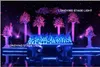 6 5m 3M LED -sterrengordijn LED STAR Doek LED achtergronden voor DJ Stage Wedding Backdrops Light286U