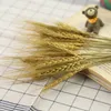 Wheat Flowe Riso di grano artificiale Rami di fiori in plastica Negozio per la casa Giardino Decorazioni per feste di matrimonio Accessori per oggetti di scena