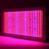 Full Spectrum 600W 800W 1000W LED Grow Light Kit Medicinsk lampa Ljus Fri nätsladd 10W Hydroponic Grow Lampor AC 85-265V US EU AU UK-kontakt