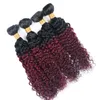 Kinky Curly 4 Bundles T 1B 99J Ombre Vin Foncé Rouge Deux Tons Couleur Pas Cher Brésilien Vierge Armure de Cheveux Humains 4 Bundles Extension1158679