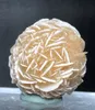 120 g de désert naturel Rose sélénite guérison Spécime de minéral en pierre de cristal brut Cluster rugueux Fengshii décor Reki2042045