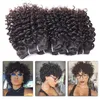 Kinky kıvırcık insan saç örgüsü 5 demetler Malezya 100 işlenmemiş bakire kütikül hizalanmış saç remy saç afro curl Bundles45651413059172