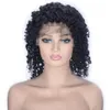 Brazilian Virgin Hair Lace Front Wigs Pre Plucked Short Kinky Curly Human Hair Wig for Black Women Natural Color