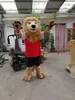 Hot Sale Cartoon Movie Character Real Pictures Brown Lion Mascot Kostym Vuxen Storlek Gratis frakt