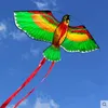 Free Shipping Outdoor Fun Sports 43 Inch Parrot Bird Kites Wholesale 3 pcs With Handle And Line For Kids Gifts Good Flying High Altitude