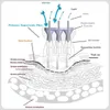 أجزاء تجميل صالون المعدات الملحق هيدرا ماء الأكسجين النفاثة قشور البخاخ القضيب قلم هيدرا قشر