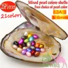 2018 New 25 Mixed Color Elliptical Pearl Oyster 6-8mm Freshwater Natural Cultured Oyster Pearl Spot Wholesale (Free Shipping)