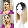 Perucas Cosplay Cabelo Liso sintética peruca de cabelo Blunt Ombre Brown Cor Cosplay New Arrival Venda 2018