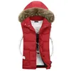 collare gilet