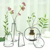 Kreative Eisen Vase Pflanzer Rack Blumentöpfe Regal Bardian Eisen Vase Dekoration Soilless Töpfe Organizer Hause Dekoration Zubehör Großhandel