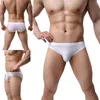 briefs men transparent sexy