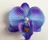 200 pz 7 cm alta simulazione pianta mini farfalla orchidea testa di orchidea sposa decorazione di nozze fai da te fiore disposizione fiore fiore fiore fiore