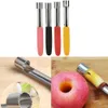 Rostfritt stål Apple Corer Pear Fruit Vegetabiliska verktyg Kärnfrö Remover Cutter Seeder Slicer Knife Kök Gadgets verktyg