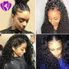 Whole Soft Natural Looking Black Long Kinky Curly Wigs brazilian full Lace Front Wigs synthetic hair for Black Women9898095