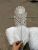 Belle plume de paon en plastique Imitation plumes de faisan blanc vacances de noël fête de mariage décoration de Vase à la maison 50 pièces/lot