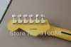 Wysokiej jakości ameican standardowa gitara elektryczna TIGER TIGER TIGER z Floyd vibrato w Stock1040944