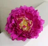 DIY konstgjorda blommor silke peony blomma huvuden bröllopsfest dekoration leveranser simulering falsk blomma huvud hem dekorationer 15cm ga230