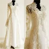 Champagne Lace Appliqued Plus Size Lace Beaded Long Sleeves Bridal Wedding Jackets Bolero Cape Wraps Shrug 2018248W